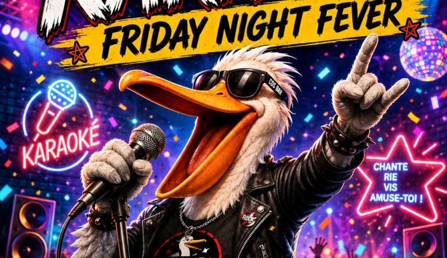 Karaoké – Friday Night Fever – CDS BAR
